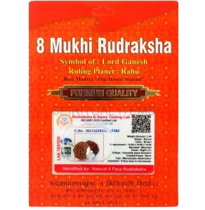 8 Mukhi Rudraksha Pendant