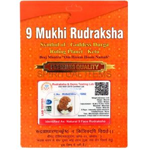 9 Mukhi Rudraksha Pendant