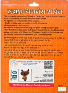 Business Shakti Rudraksha Kavach