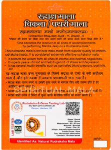 Chikna Rudraksha Mala