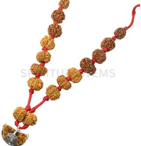 Rudraksha Sarvasiddhi Kantha Mala