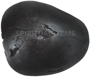 Shaligram Religious Shila
