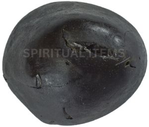 Shaligram Religious Shila