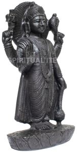 Shaligram Religious Idol