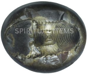 Shaligram Religious Shila