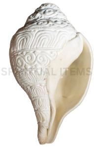 Religious Shankh