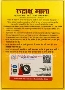 5 Mukhi Rudraksha Mala