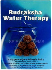 Water Therapy Rudraksha