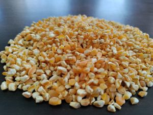 Broken Maize