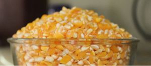 Broken Maize
