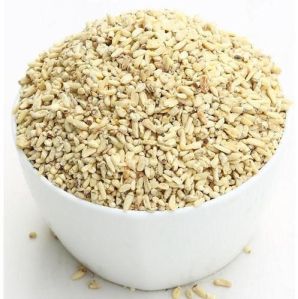 Corn Germ