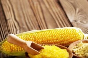Corn Grits