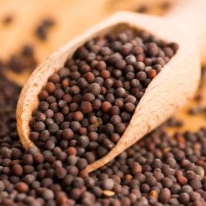 Rasveda Black Whole Mustard Seeds