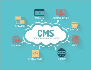 Customized CMS Development Service