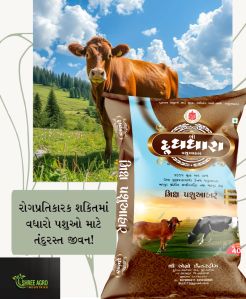 dudh dhara mix pashu aahar