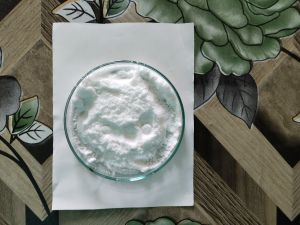 Metarhizium Anisopliae Bio Pesticide