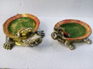 Multipurpose Tortoise Bowl