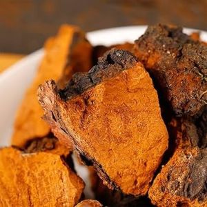 Chaga Mushroom