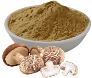 mushroom powder