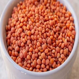 Red Lentil