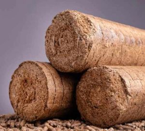Briquettes Biomass Fuel