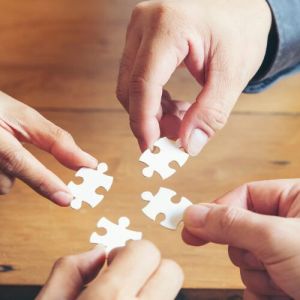 Partnership and Collaboration