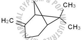 Beta Pinene