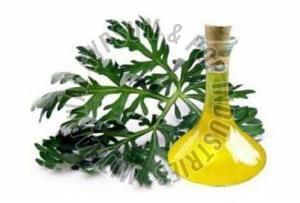 Davana Oil