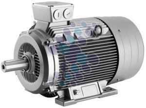 22 Kw Siemens Three Phase Induction Motor