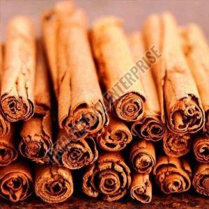 Cinnamon Stick