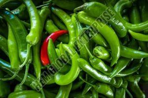 Fresh Green Chilli