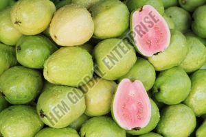 Fresh Guava