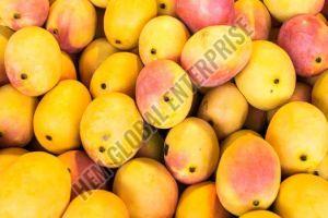 Fresh Mangoes