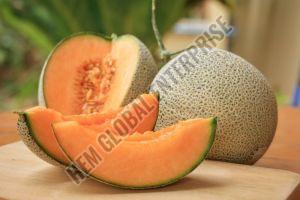 Fresh Muskmelon
