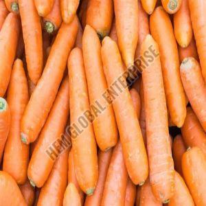Fresh Orange Carrot