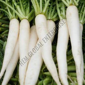 Fresh Radish