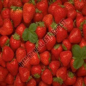 Fresh Strawberry