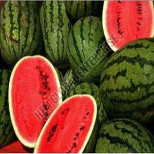Fresh Watermelon