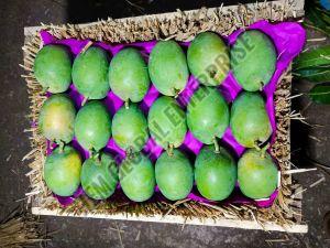 Mango Alphonso Corrugated Box