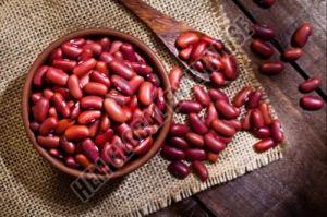 Red Kidney Beans Pulses