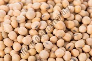 Soybean Pulses
