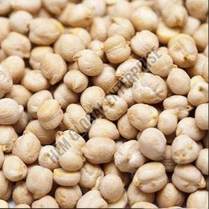 White Chickpeas Pulses