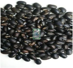 Black Mucuna Pruriens Seed