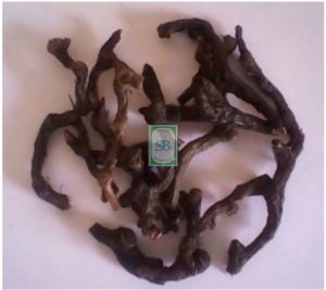 Cyperus Scariosus Root