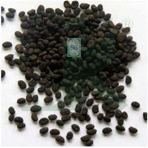 Psoralea Corylifolia Seeds