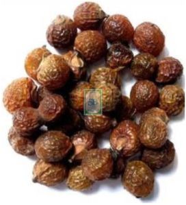 Sapindus Mukorossi