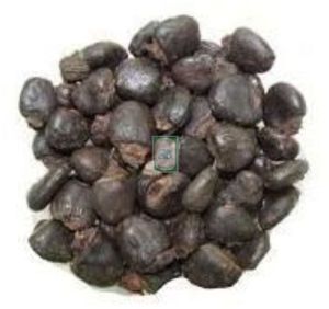 Semecarpus Anacardium