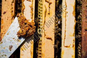 Raw Bee Propolis