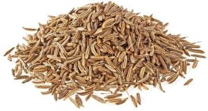 Cumin Seeds