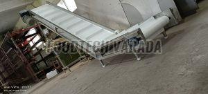 Elevating Conveyor